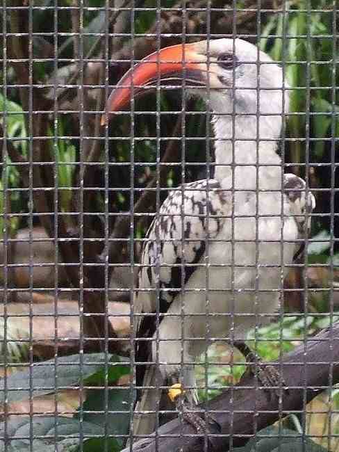 n_HongKong mei 2008 019b.jpg